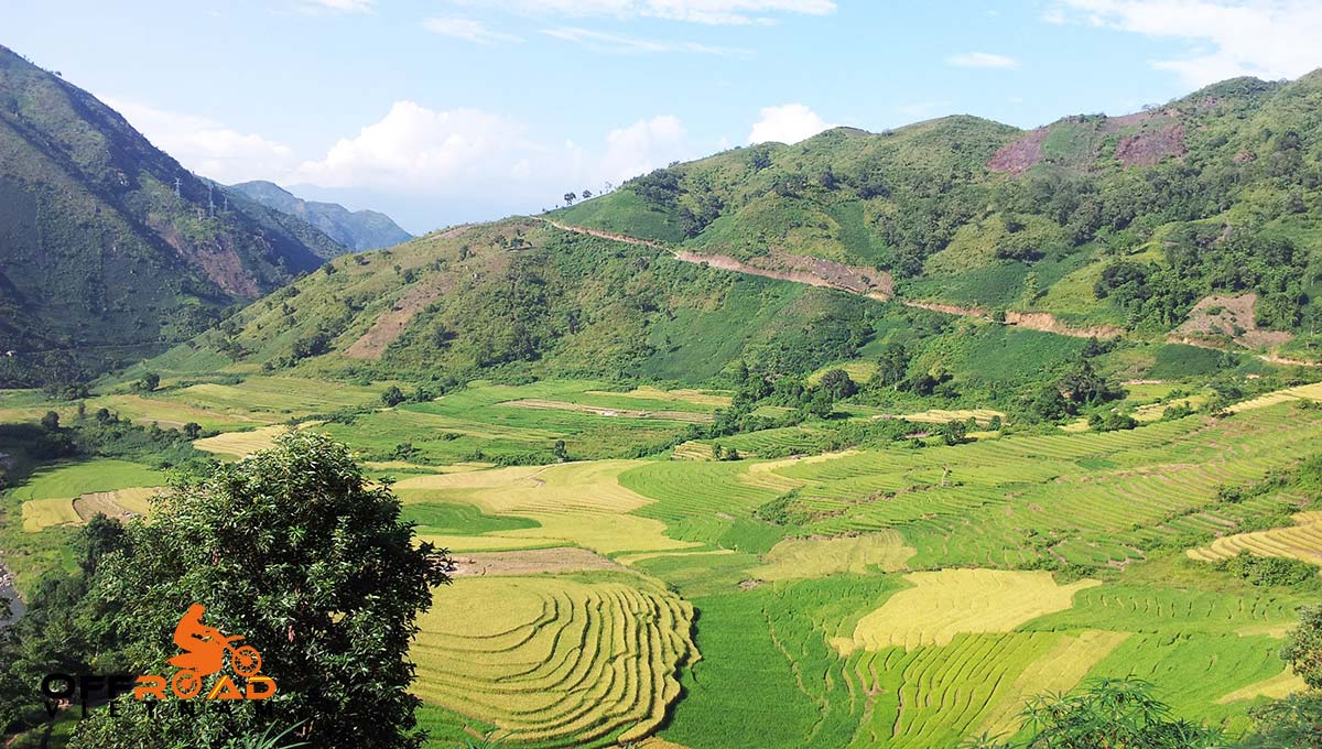 7 Days Central North Vietnam, nice rice fields.