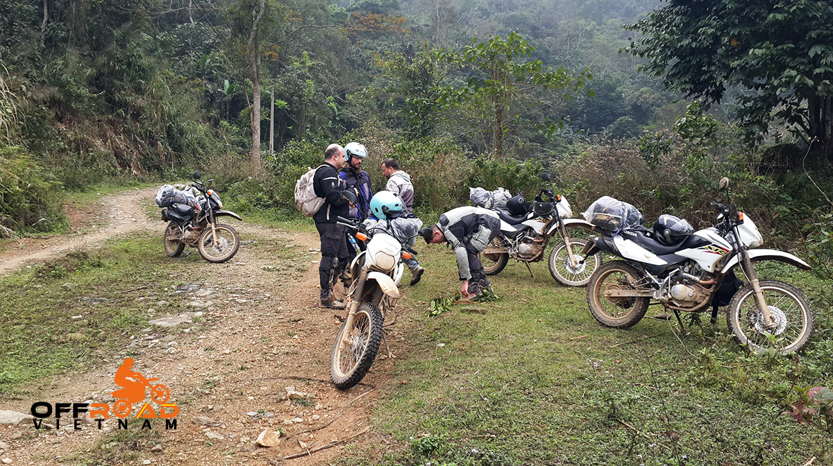 Honda off road New Manual Bikes XR125L 125cc we use from 2014 to 2017
